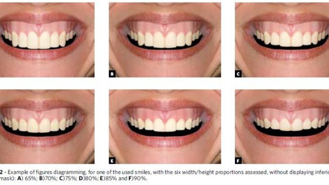 different-tooth-shapes