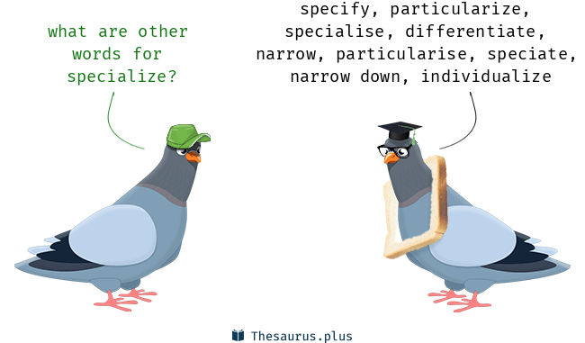 another-word-for-specialize