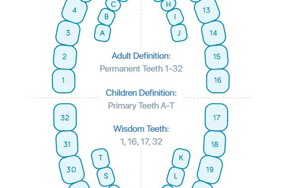 dentist-medical-term