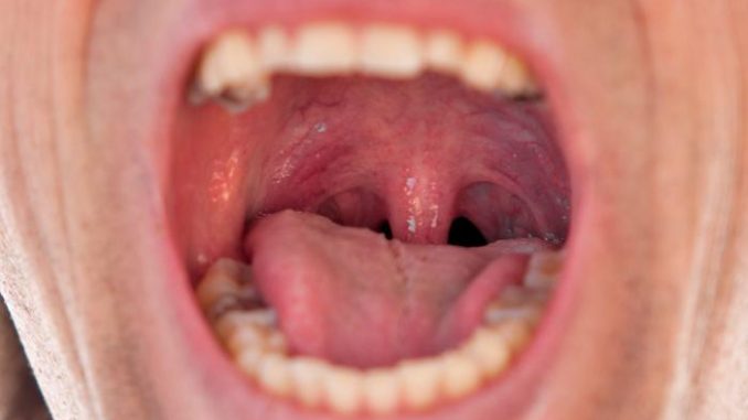 what-is-a-mouth-doctor-called