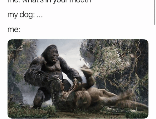 whats-in-your-mouth