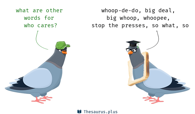 synonyms-for-cares