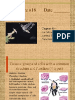 Can you get dental implants if you have bone loss?