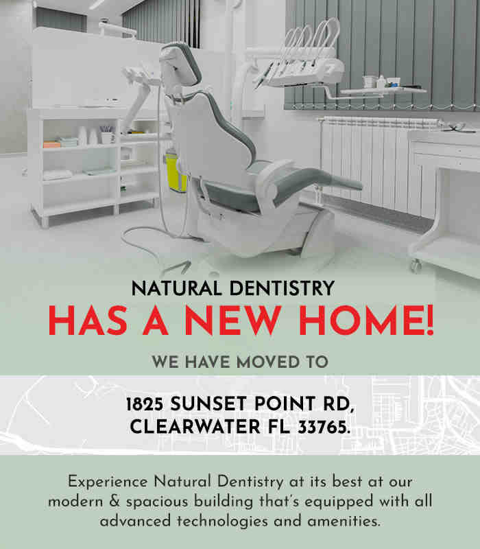 What do holistic dentists do?