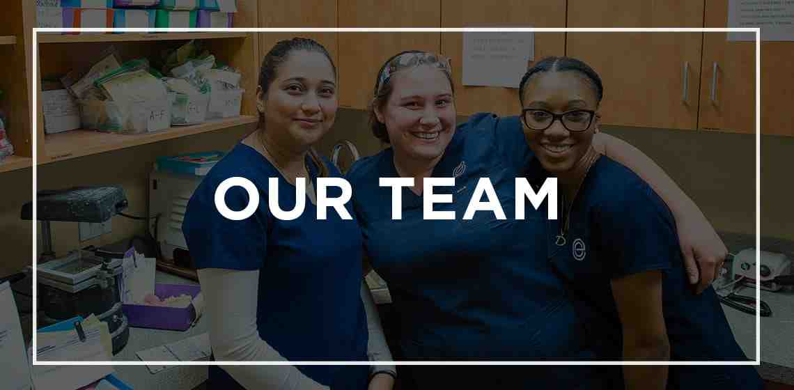 What type of dentist does cosmetic dentistry?