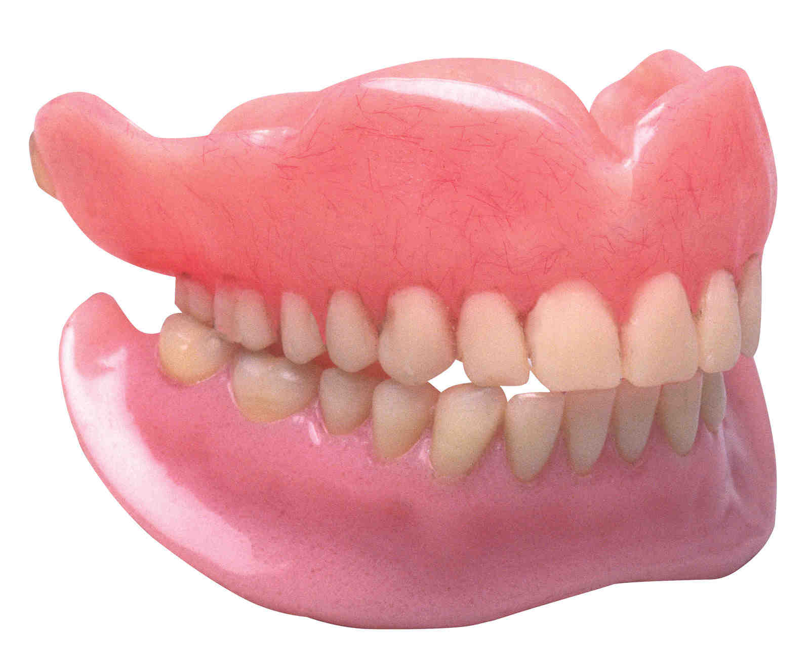 Is dental care free in Italy?