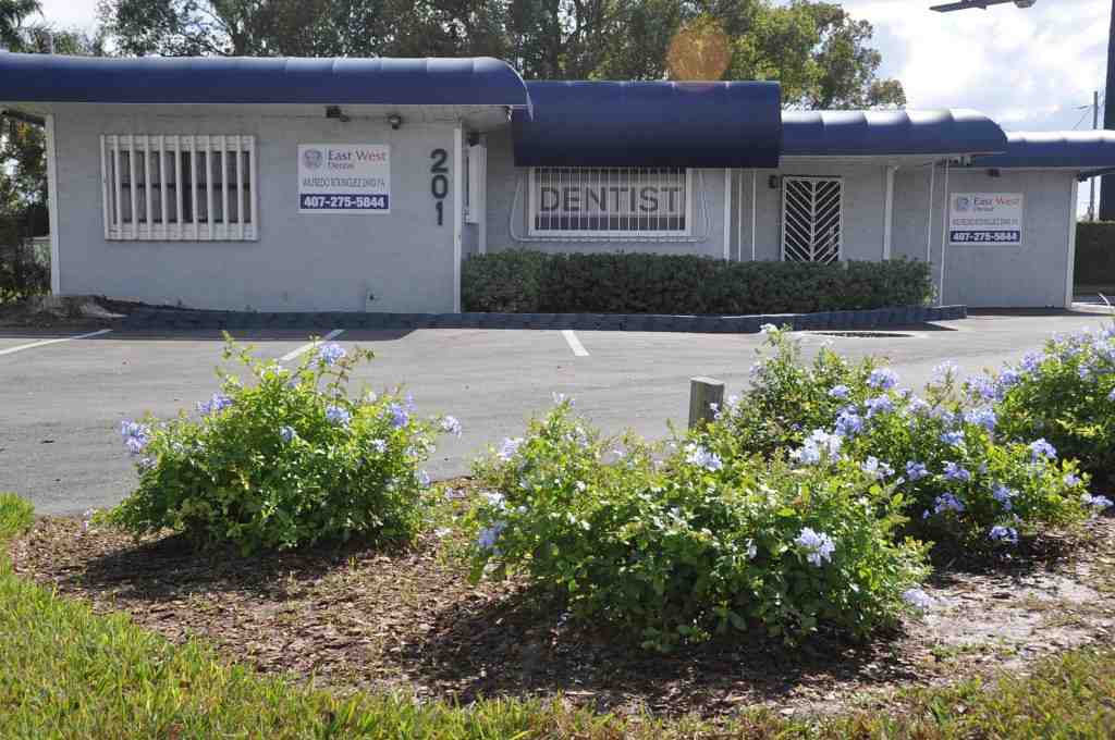 How Much Does a full dental makeover cost?