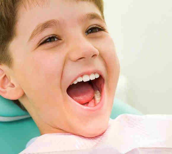 How do you use the word feedback?