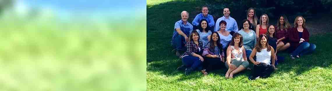 What are the 3 types of feedback?