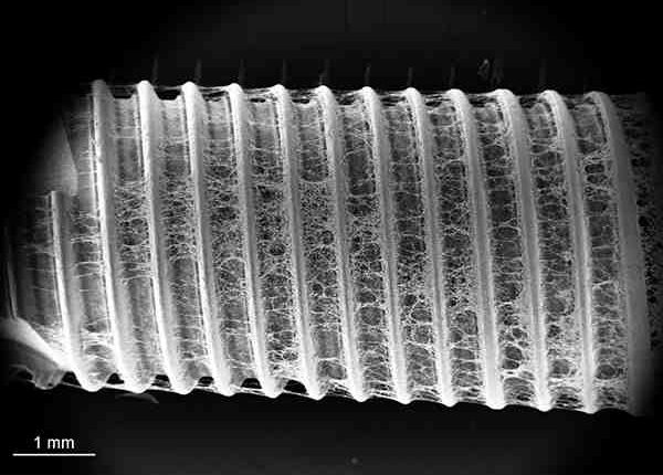 What is the best material for dental implant nobel biocare