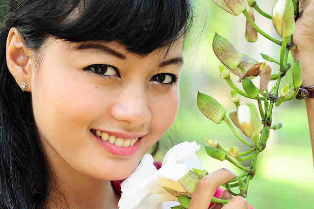 What procedures are included in cosmetic dentistry?