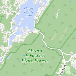 Is the dentist a true story?