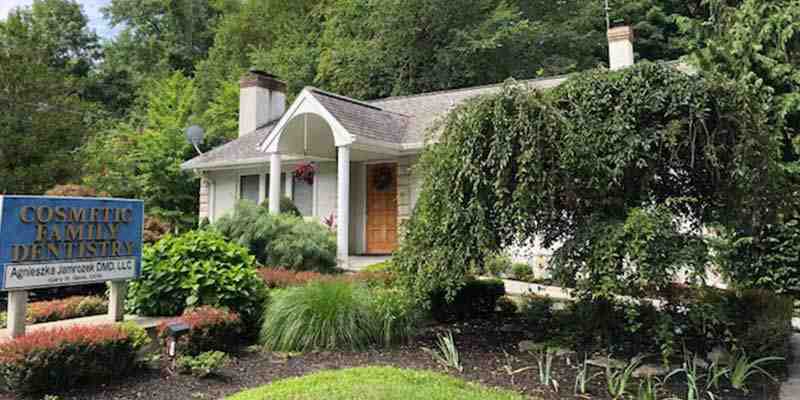 What is the movie the dentist about?