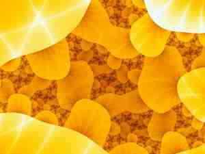 When do you start antibiotics before dental implant?
