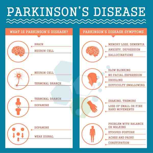 What is the latest information about Parkinson's disease research for a cure or treatment?