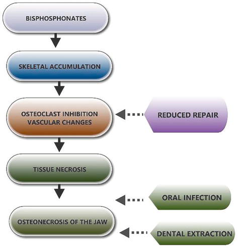 What are the long term effects of dental implants?