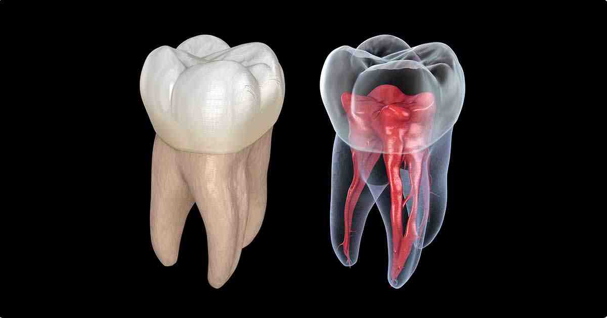 How long does a root canal last without a crown?