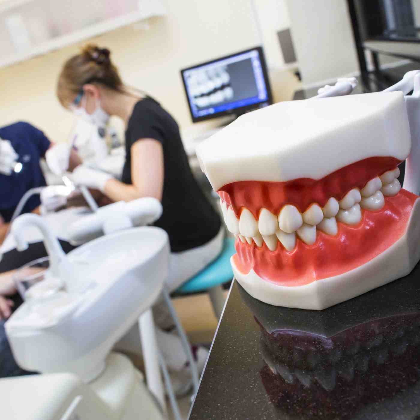 Is dentist easier than Doctor?