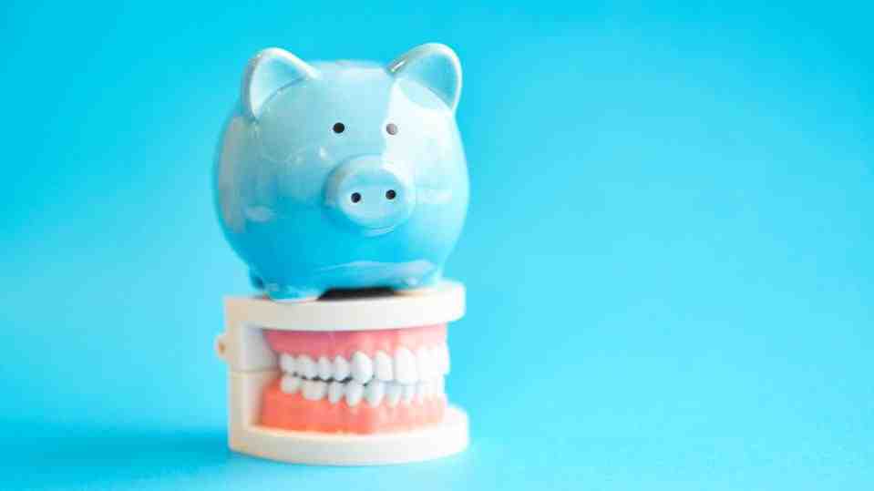 What are the disadvantages of a PPO?